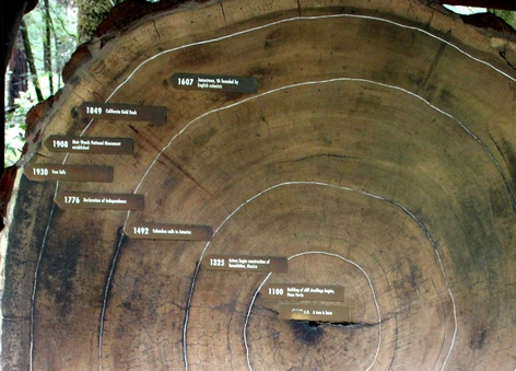 ���� ���